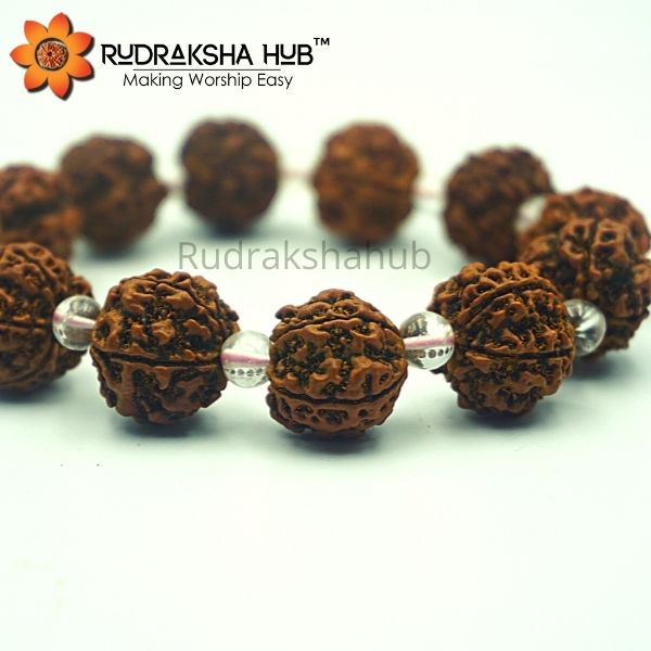 9 Mukhi Rudraksha with Gomed and Black Ebony Bracelet for Crown Chakra to  Attracts divine grace and develops an awareness to recognize spiritual help  - Engineered to Heal²