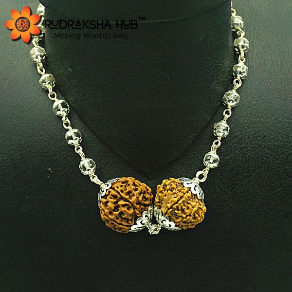 rudraksha-combination-for-wealth-power