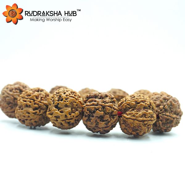 Buy Rs 349 Panchmukhi Mukhi Rudraksha Bracelet (Multilayer) Low Price for  Men