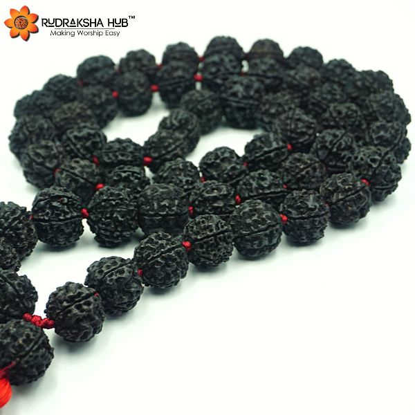 7mm BLACK Rudraksha Seed Beads - Indiodyssey