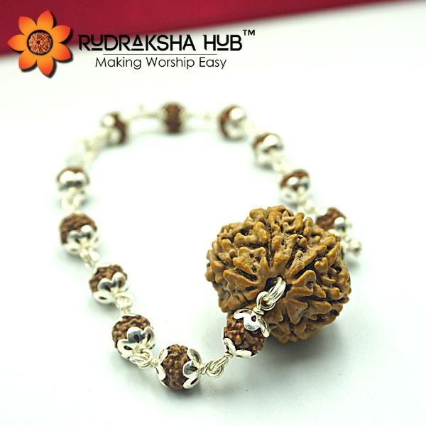 5 Mukhi Rudraksha Bracelet With Designer Gold Plated Caps (1 Pc) -  Numeroastro